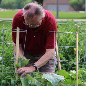 Man planting a plant