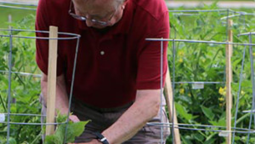 Man planting a plant