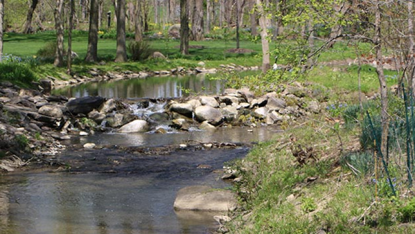 Photo of a stream